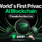 No More Exposed Information: How Zero Knowledge Proof Keeps Your Data Sealed Forever