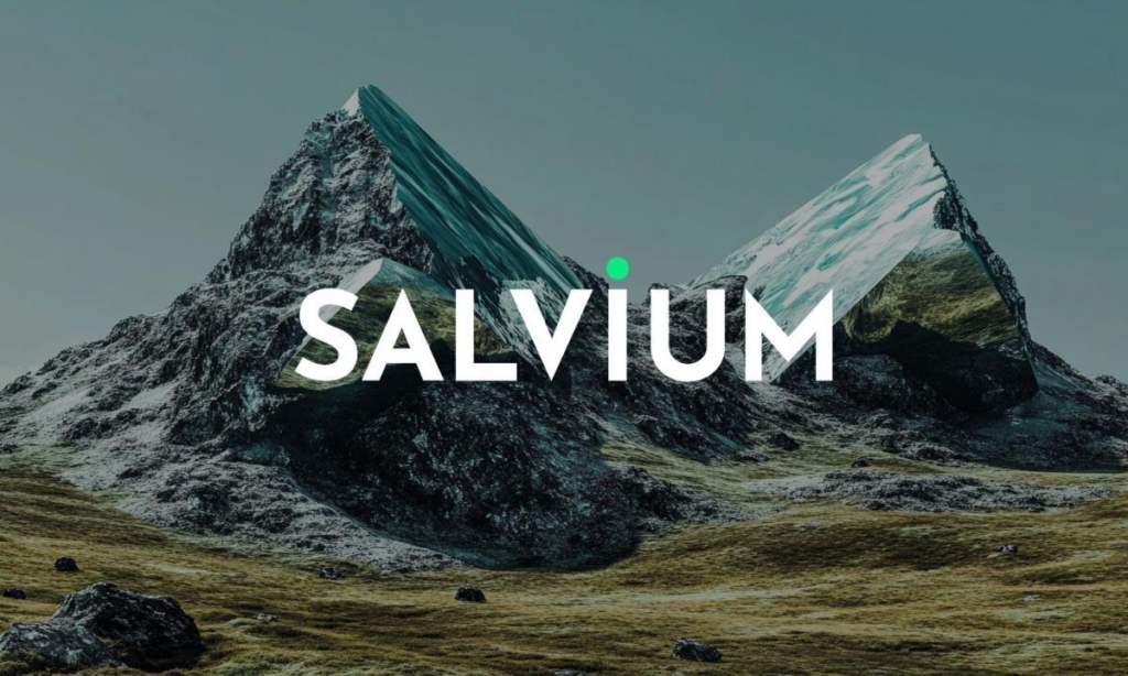 Independent Legal Opinion Confirms Salvium is a Privacy Coin that is Compliant for EU MiCA Regulated Exchanges