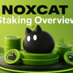 NOXCAT Positions Staking as Long-Term Ecosystem Alignment, Not a Short-Term Yield Game
