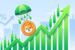 Shiba Inu price surge July 2026